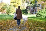 Jesień na osiedlu Grodzisko w Pińczowie. To bardzo kolorowe miejsce!