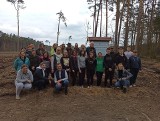 Nadleśnictwo Ostrów Mazowiecka. Sadzenie lasu w leśnictwie Brzostowa. 18.04.2023