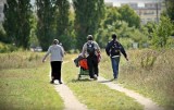 Śledztwo w sprawie Romów z Gdańska niemal pewne. O co oskarżają urzędników?