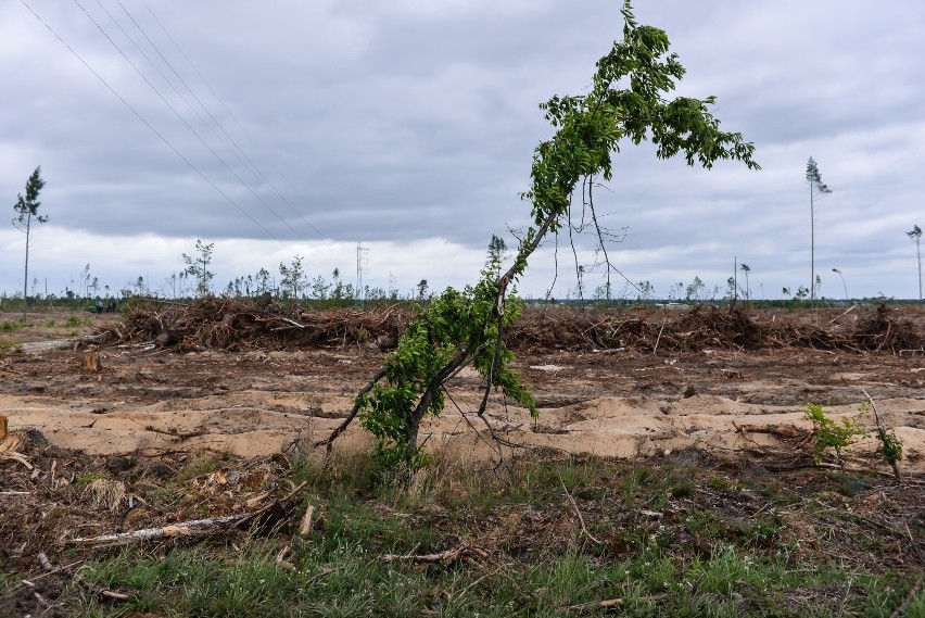 Rok po nawałnicy na Pomorzu