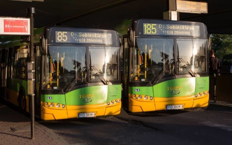 MPK Poznań: Hindusi za kółkiem autobusów. Już wożą pasażerów