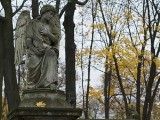 Bielsko-Biała. Pozowała nago na cmentarzu...