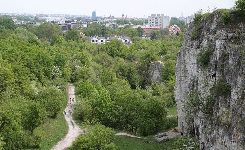 Majówka 2018. Krakowski Zakrzówek przyciąga wypoczywających