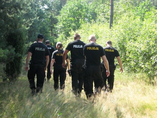 Policjanci znaleźli plantację konopi indyjskich w lesie