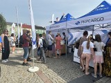 Łódzkie. Festiwal Roślinożerców, czyli promocja kuchni roślinnej w Skierniewicach