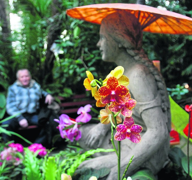 Egzotarium zaprasza co roku na wystawę orchidei