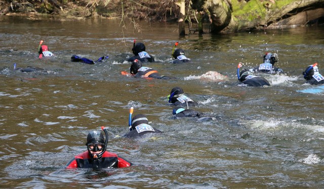 Uczestnicy spływu pokonali 6,2 km. w lodowatej wodzie.