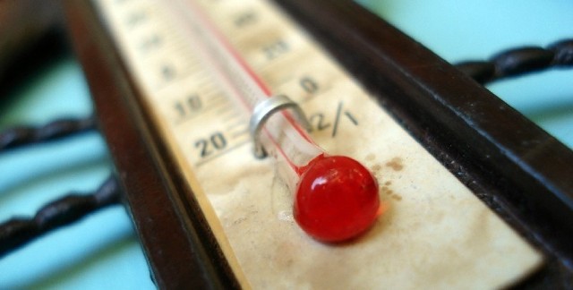 W najbliższych dniach termometry mogą pokazać nawet osiem stopni ciepła