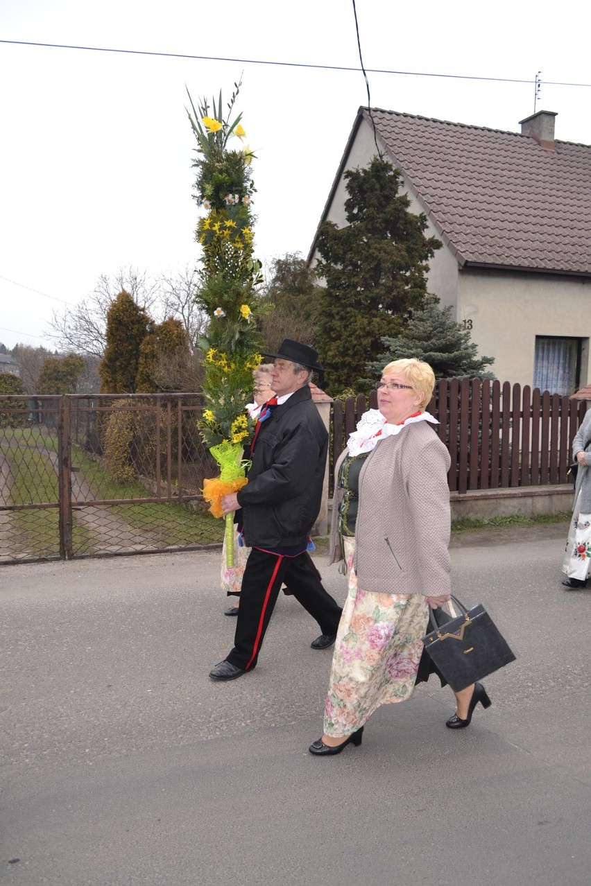 Piękne, ponad dwumetrowe palmy przygotowali mieszkańcy...