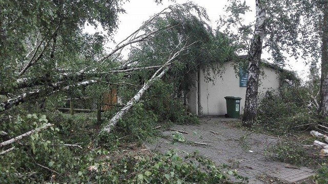 Zniszczenia w ośrodku Kaszubski Bór w Sominach.