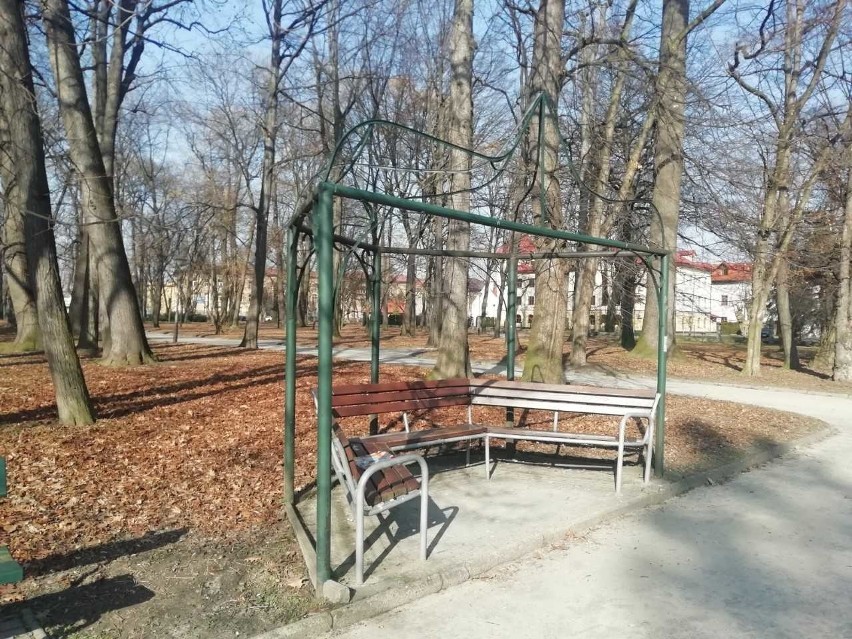 Park przy ul. Dąbrowskiego w Rzeszowie.