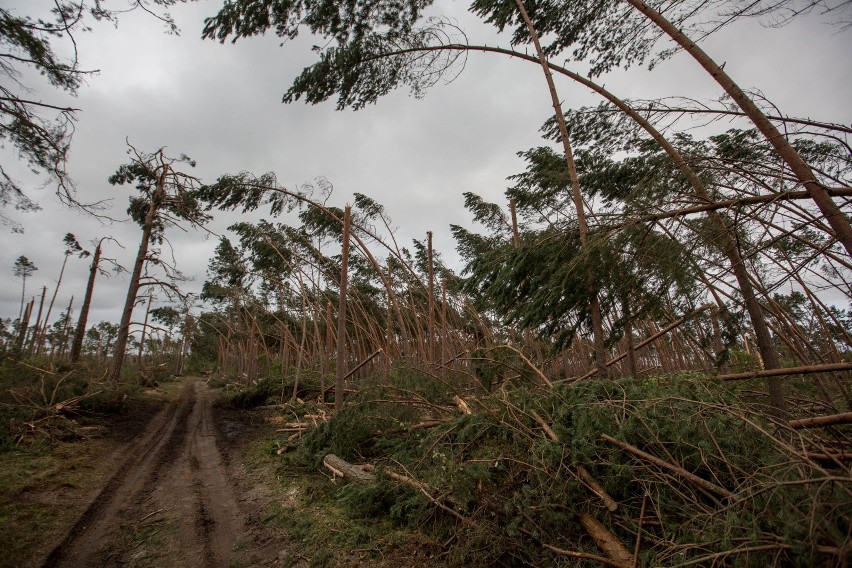 Zarzuty dla meteorologów po tragedii w Suszku. "Szukamy...