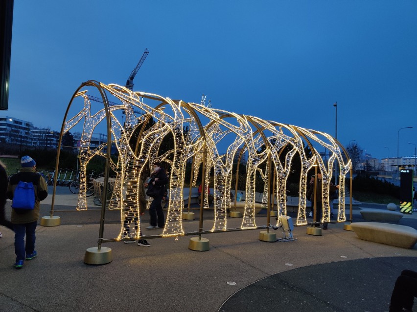 Tak wygląda Gdynia rozświetlona na święta! Piękne iluminacje i choinki ozdabiają m.in. plac Grunwaldzki, Rivierę i skwer Kościuszki