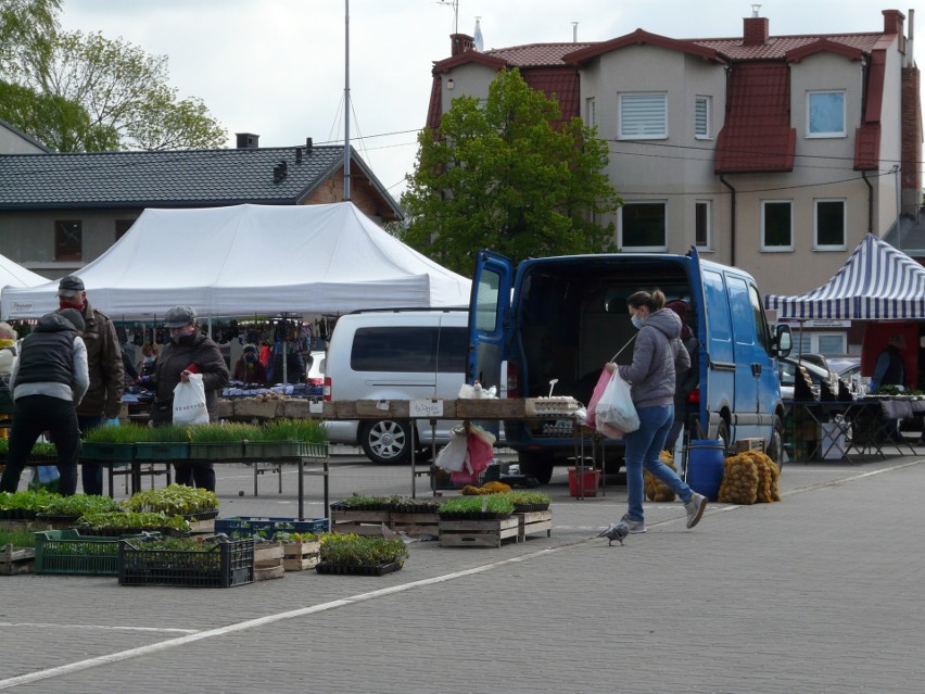 Pabianice Koronawirus. Pabianickie targowiska pełne klientów. Co kupują? ZDJĘCIA