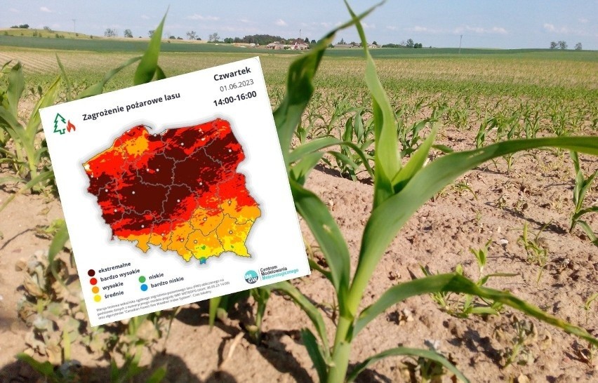 W Polsce obowiązuje obecnie 7 ostrzeżeń przed suszą...