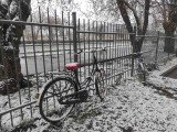Pierwszy atak zimy tej wiosny. Zobaczcie zdjęcia zaśnieżonego Wrocławia