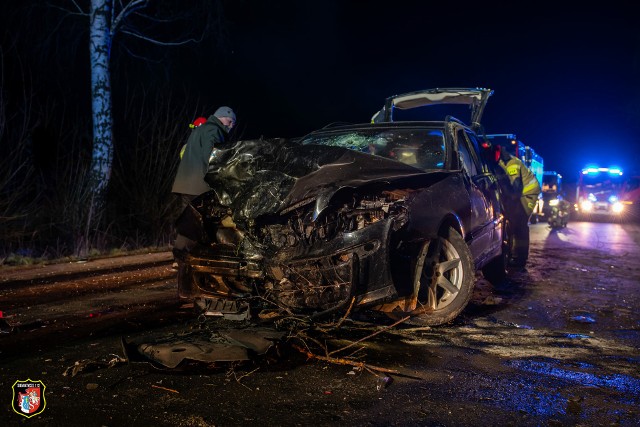 Kierowca mercedesa trafił do szpitala. Próbował uniknąć zderzenia ze zwierzęciem