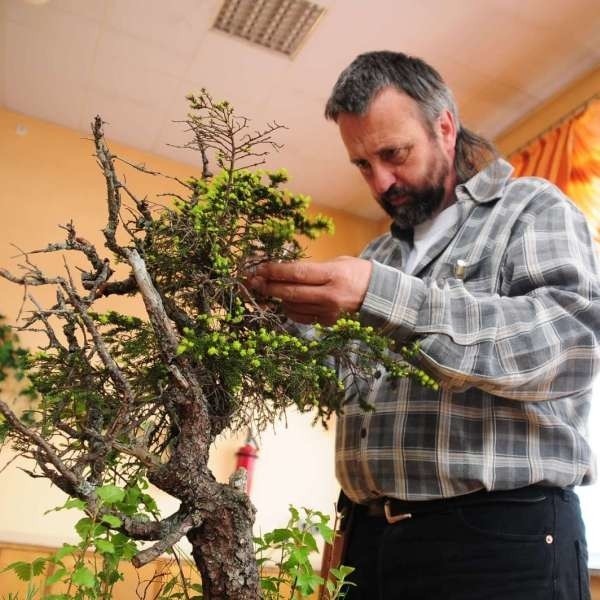 Werner Busch z Niemiec poprowadził warsztaty i omawiał sposób pielęgnacji drzewek.