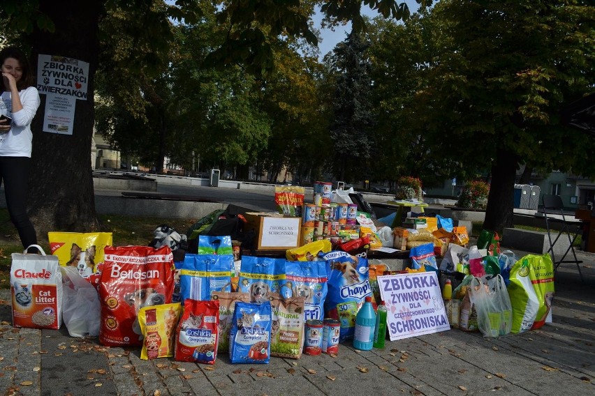 Częstochowa: Zbiórka żywności na rzecz schroniska dla...