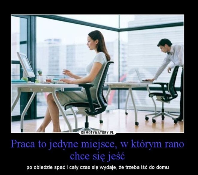 Oto najlepsze memy o pracy. Tak Polacy żartują z zatrudnienia i zarobków. Zobacz i uśmiechnij się razem z nami!