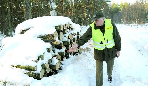 Edward Kołtuń pracuje w straży leśnej od 17 lat. Twierdzi, że tej zimy odnotowano jeszcze raz tyle kradzieży co ubiegłej