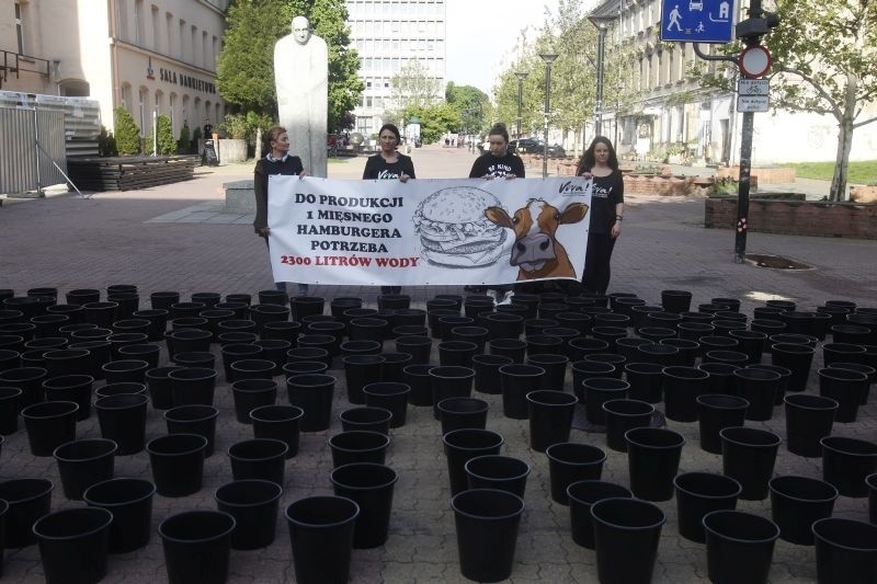 Antymięsny happening w pasażu Schillera - w ramach ogólnopolskiego tygodnia vege