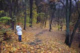 TOP 10 miejsc na Lubelszczyźnie na jesienny wypad za miasto. Klimatyczne leśne ścieżki tylko godzinę drogi od Lublina