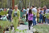Dzień Ziemi 2023 w Dąbrowie Górniczej. Moc atrakcji i sadzonki czekać będą w Parku Zielona 
