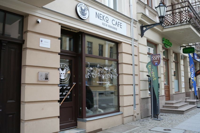 "Neko Cafe" - kocia kawiarnia przy ul. Prostej w Toruniu od...
