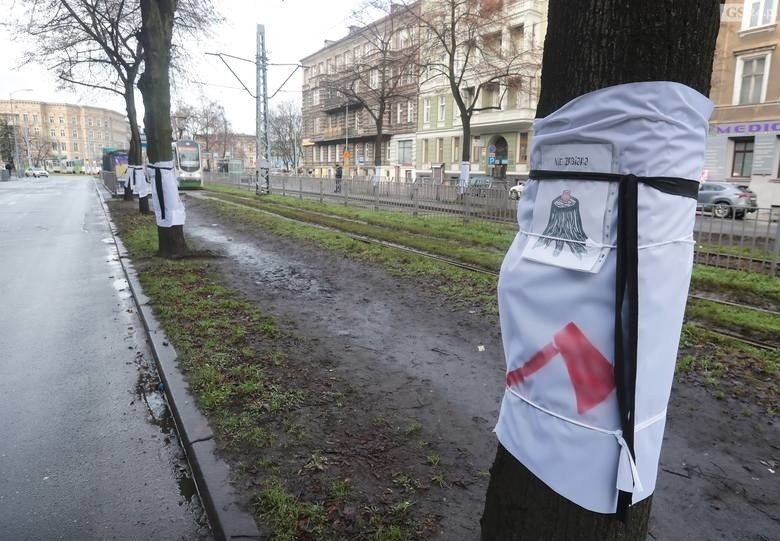 Protest w obronie drzew przy pl. Szarych Szeregów w Szczecinie. Wycinka z powodu przebudowy [ZDJĘCIA, WIDEO]