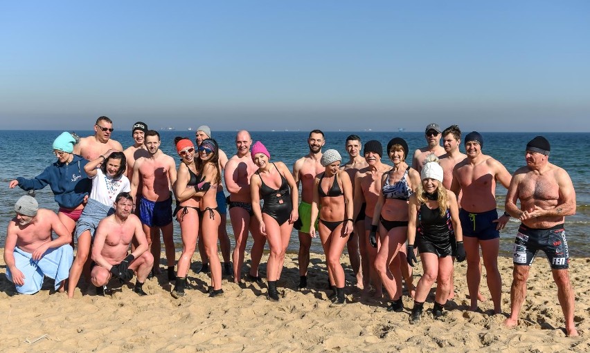 Grupy morsów na plaży w Gdańsku Brzeźnie (13.03.2022)