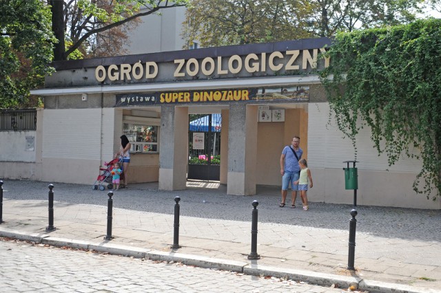 Czy powodem odwołania jest odebranie certyfikatu poznańskiemu zoo?