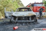 BMW doszczętnie spłonęło. Od auta zajął się las [ZDJĘCIA]