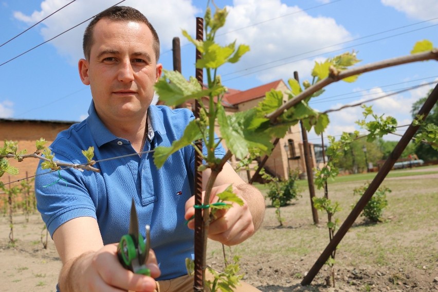 Łukasz Robak (właściciel Folwarku Pszczew) to zwycięzca w...