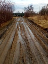 W Pieczyskach  jak w bajce, ul. Pieczyska ciemna i błotna