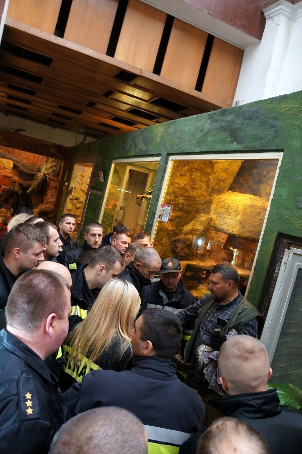 Wrocław: Pożar w zoo. Strażacy uczyli się ewakuować zwierzęta