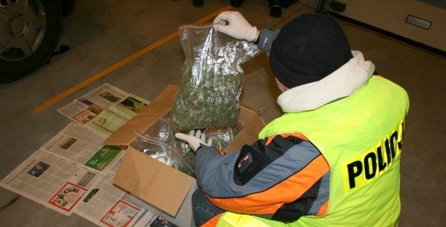 Narkotyki były przewożone w  kartonowym pudle.