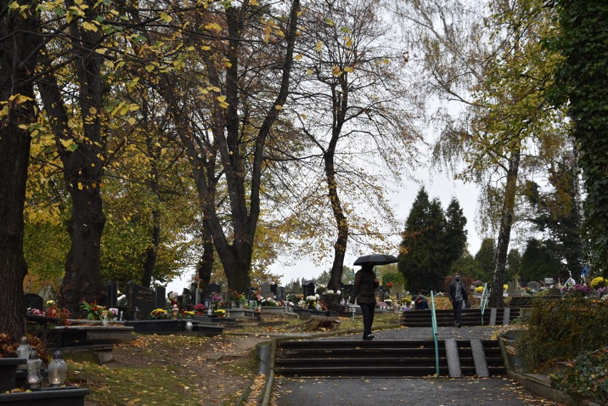 Rybnik: Cmentarz komunalny w Rybniku w tym roku wielu...