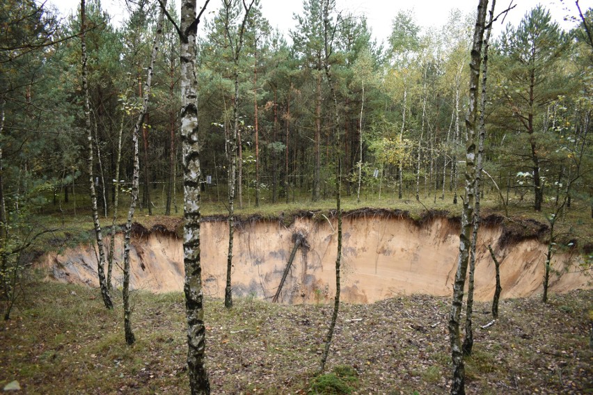 Zapadlisko w pobliżu Pustyni Błędowskiej