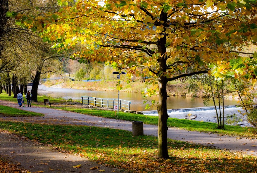 Myślenice. Park na Zarabiu poleca się na jesienny spacer. I czeka na patrona [ZDJĘCIA]