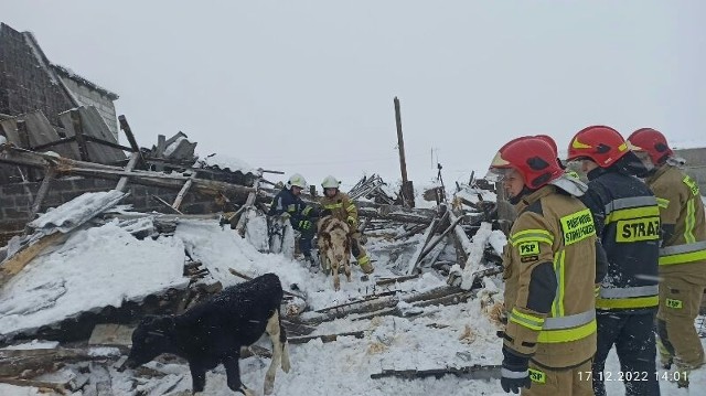 Strażacy na miejscu akcji w Słaboszowicach, gdzie pod ciężarem śniegu zawalił się dach. Więcej na kolejnych zdjęciach