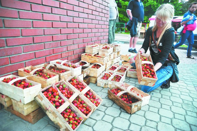 Niedłługo pierwsze truskawki z podlaskich plantacjiW Białymstoku w sprzedaży są już pierwsze krajowe truskawki – na razie przywożone są z południowych województw