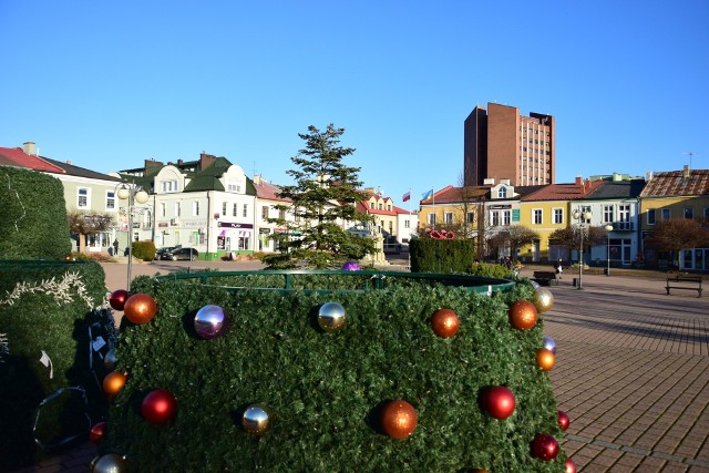 Jodła na tarnobrzeskim Rynku nie będzie w tym roku dekorowana z okazji bożonarodzeniowych świąt.