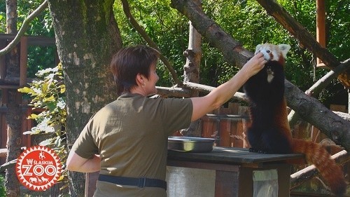 W śląskim zoo - nowy serial telewizyjny na kanale Active...