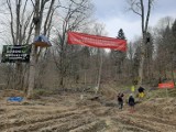 Od kilkunastu dni ekolodzy okupują skrawek lasu niedaleko Przemyśla. Domagają się utworzenia Turnickiego Parku Narodowego
