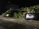 Po przejściu orkanu Xavier. Połamane drzewa, zablokowane drogi w Kielcach