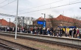 Kolejowy armagedon na Dolnym Śląsku, drzewa na torach i trakcji. Działa sztab kryzysowy