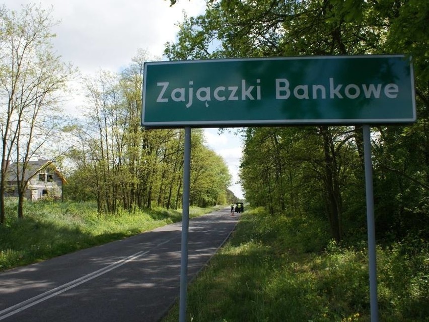 Strzelanina pod Kaliszem: W Zajączkach Bankowych padły...