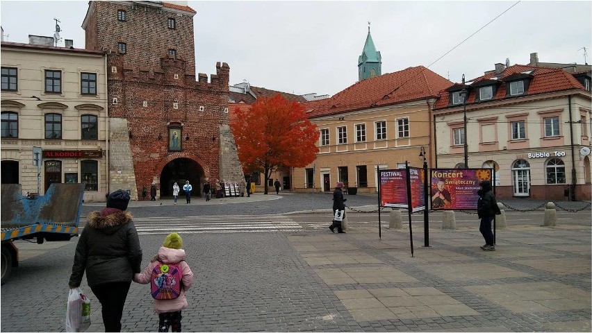 Więcej drzew na Starym Mieście? Wizja Anety Warchoł, Eweliny...