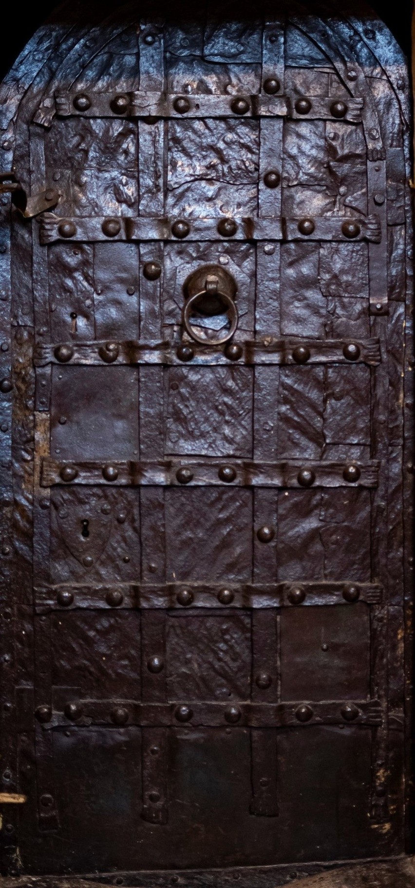 Zabytkowe gotyckie drzwi klasztoru Cystersów w Jędrzejowie mogą być starsze niż sądzono. Zobaczcie zdjęcia